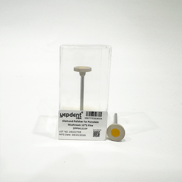 Diamond Polisher for Porcelain DPPM1220F;1pc/pack